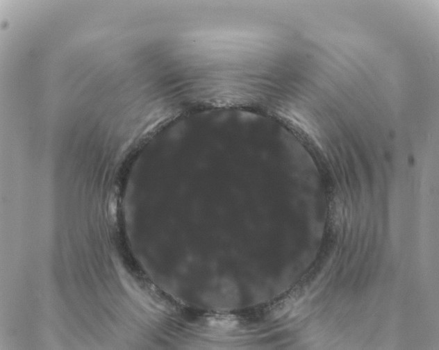 X0000088590214200706011146