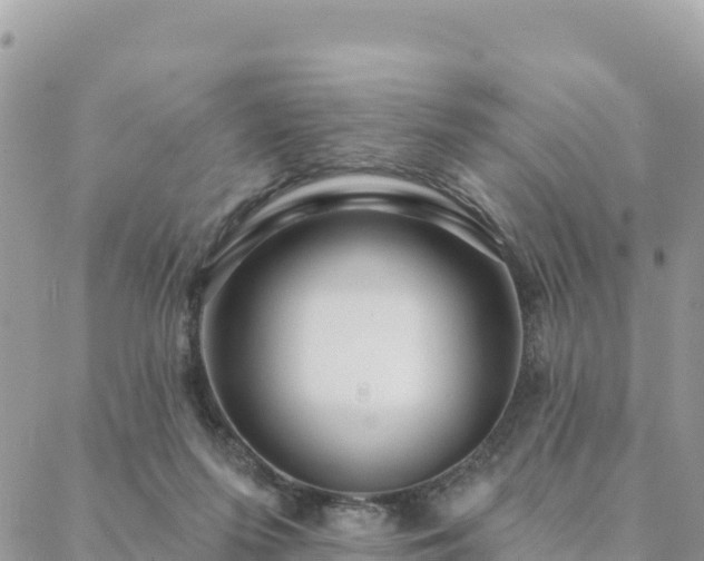 X0000088590215200706011146