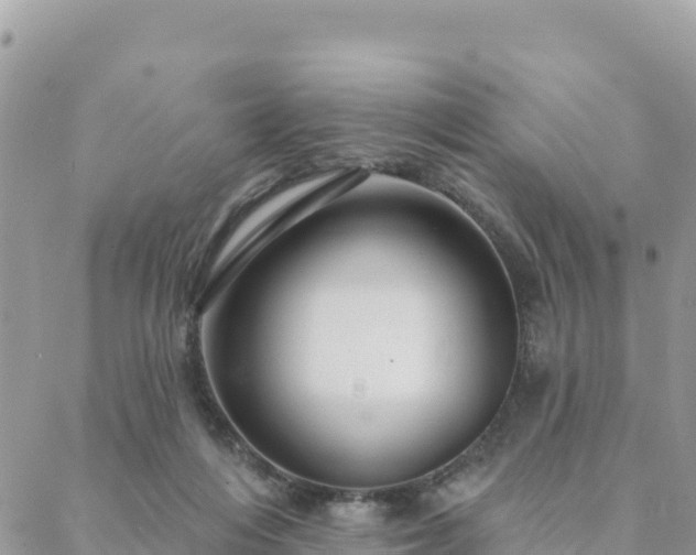 X0000088590216200706011146