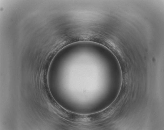 X0000088590217200706011146