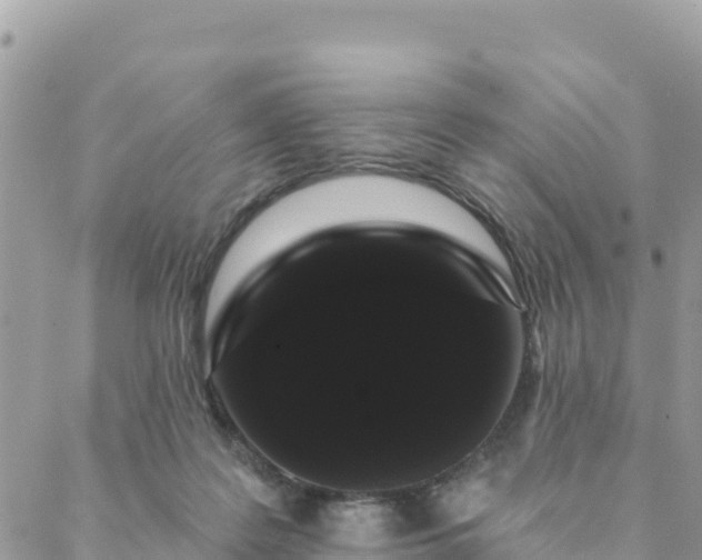 X0000088590219200706011146