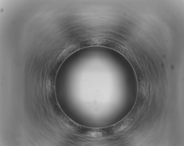 X0000088590220200706011146