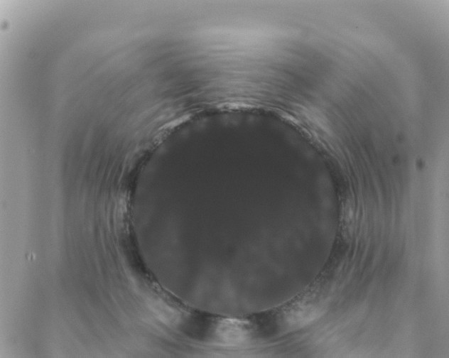 X0000088590222200706011146