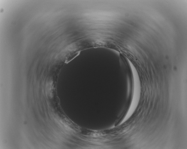 X0000088590223200706011146