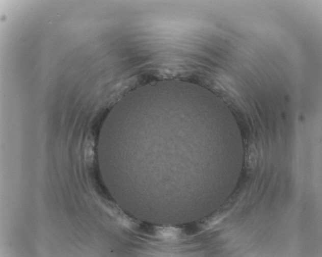 X0000088590226200706011146