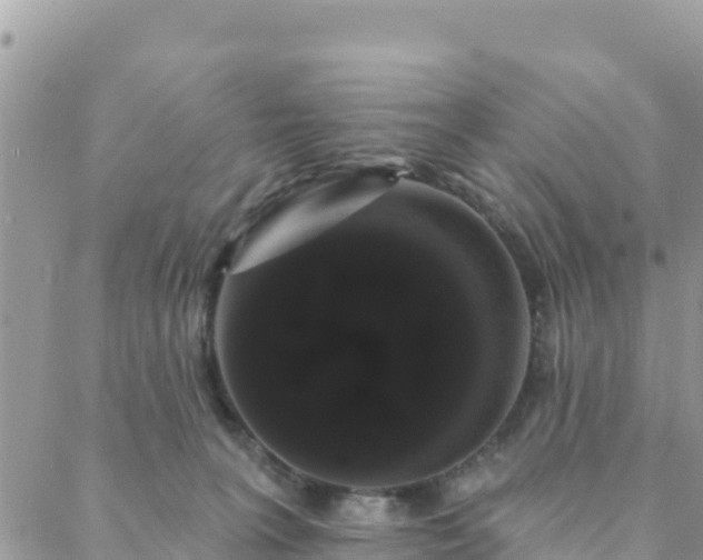 X0000088590227200706011145