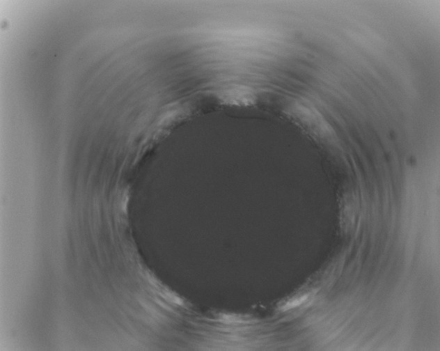 X0000088590229200706011145