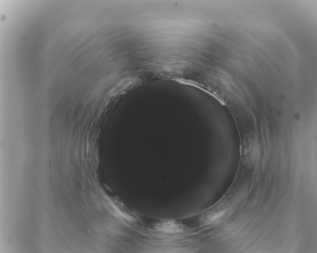 X0000088590231200706011145