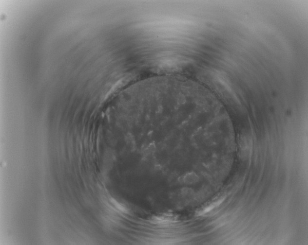 X0000088590232200706011145