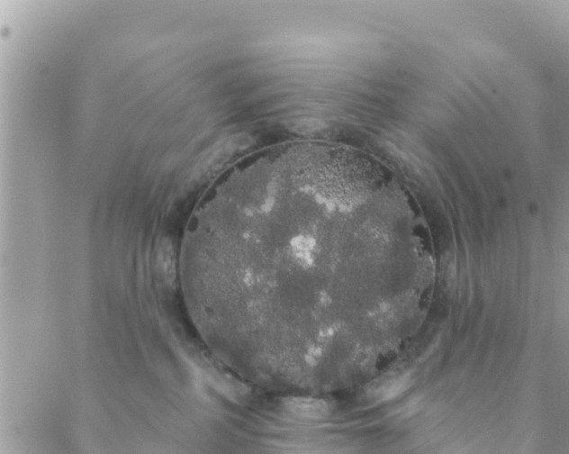 X0000088590234200706011145