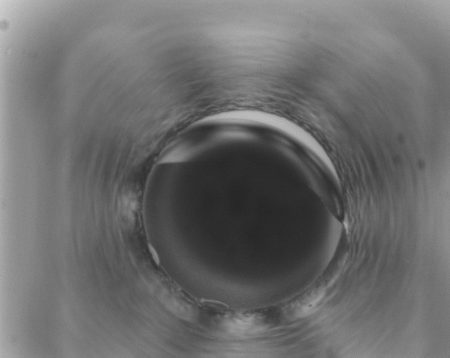 X0000088590235200706011145