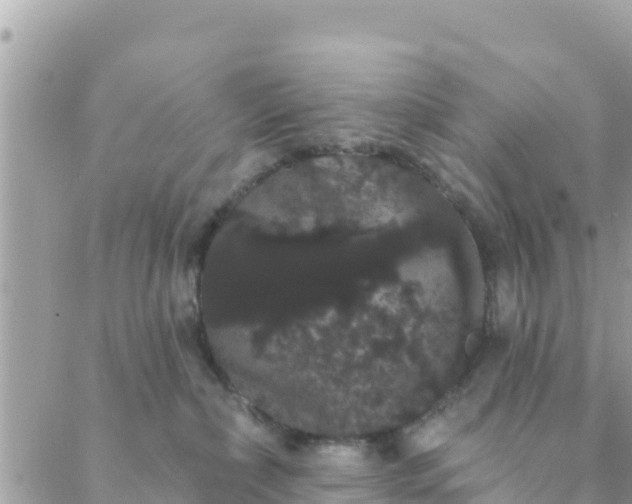 X0000088590236200706011145