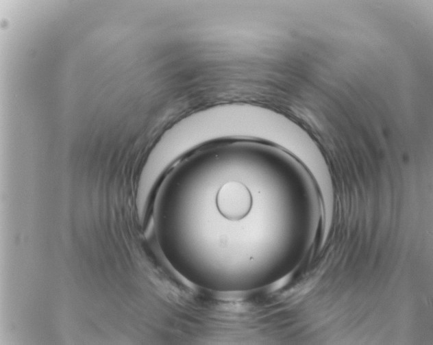 X0000088590237200706011145