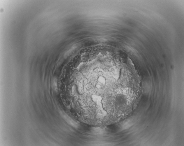 X0000088590238200706011145