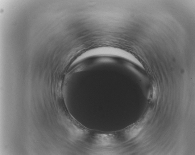 X0000088590239200706011145