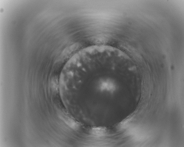 X0000088590240200706011145