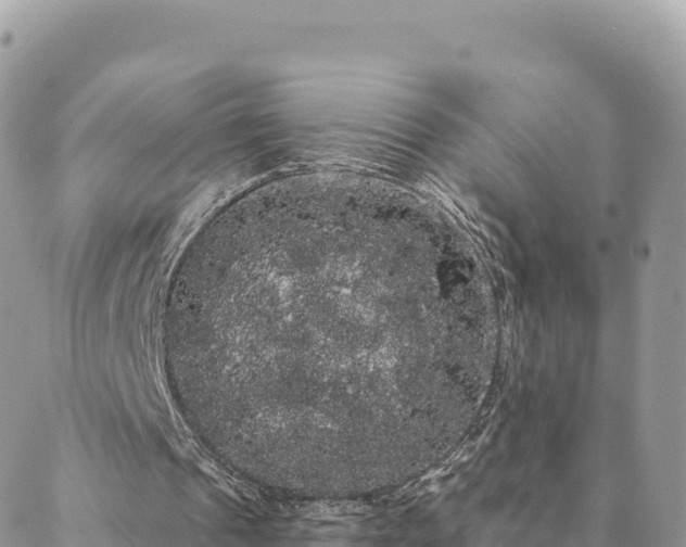 X0000088590241200706011144