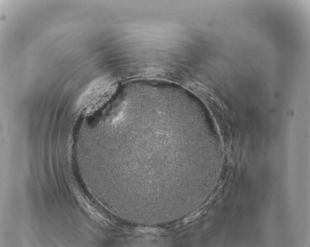 X0000088590242200706011145