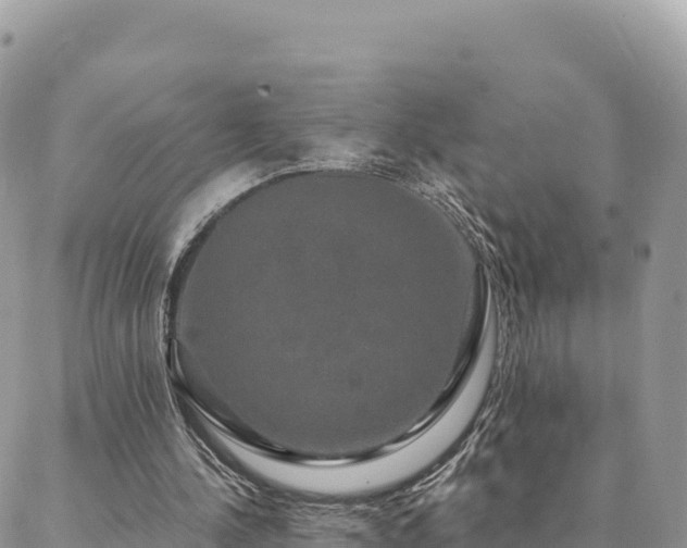 X0000088590244200706011145