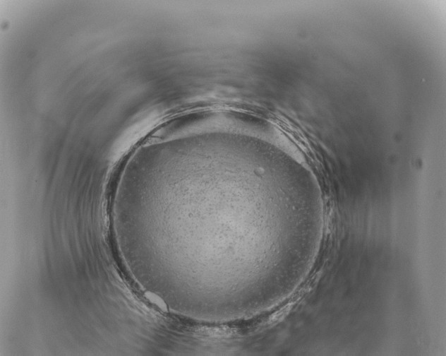 X0000088590245200706011145