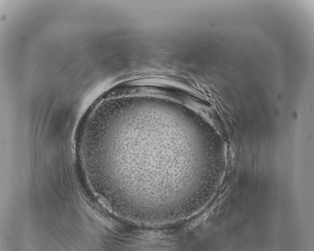 X0000088590246200706011145