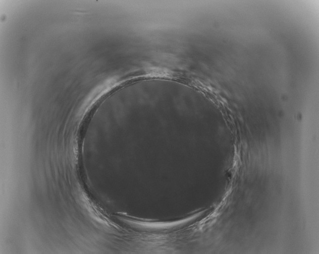 X0000088590247200706011145