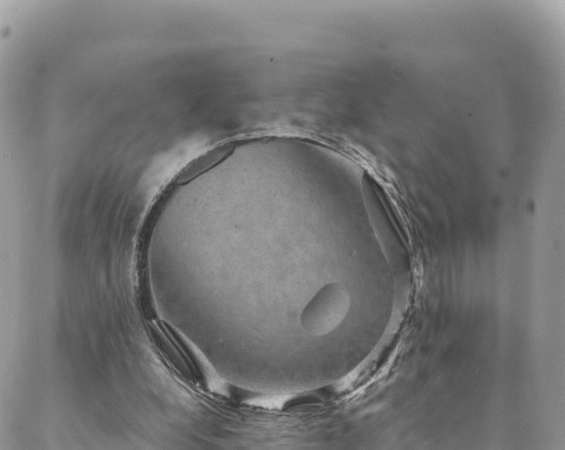 X0000088590248200706011145