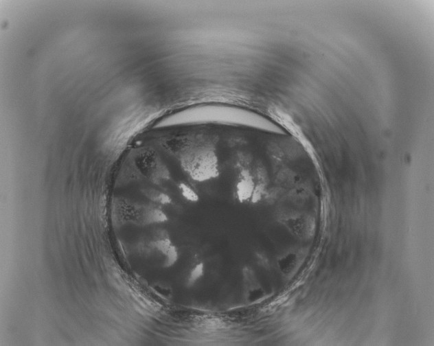 X0000088590249200706011145