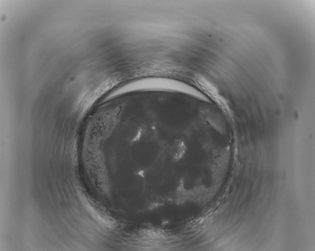 X0000088590250200706011145