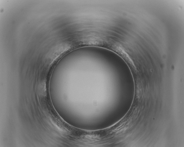 X0000088590251200706011145