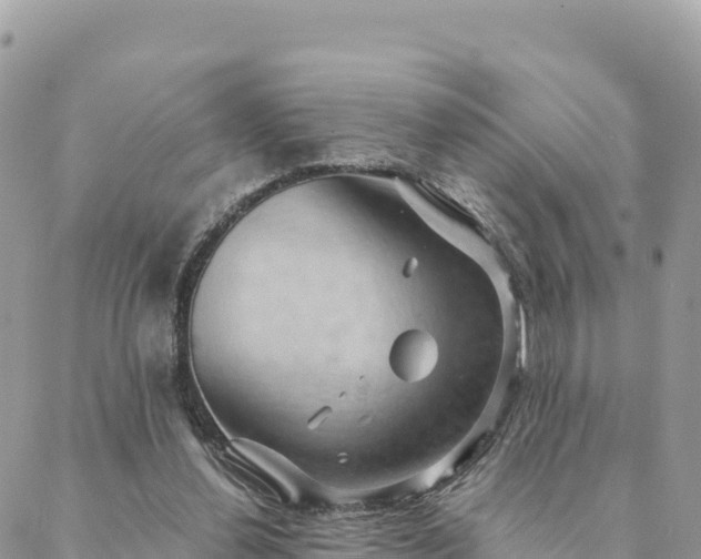 X0000088590252200706011145