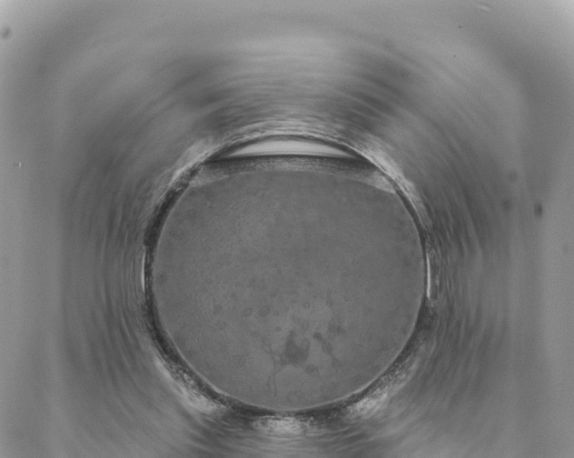 X0000088590253200706011145