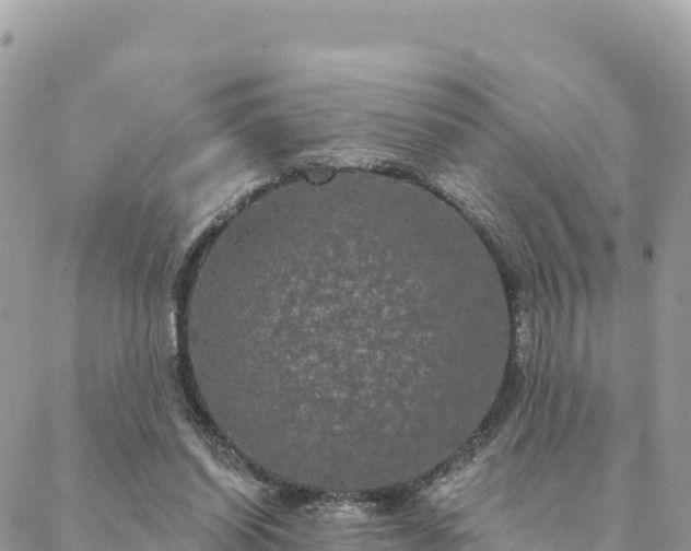 X0000088590254200706011145