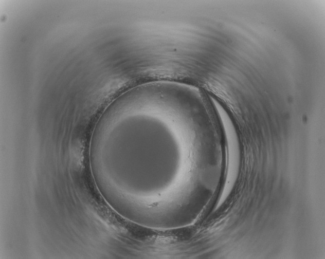 X0000088590255200706011145