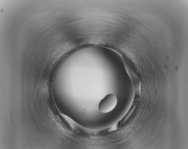 X0000088590256200706011145