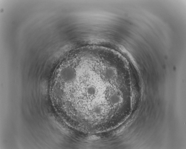 X0000088590257200706011145