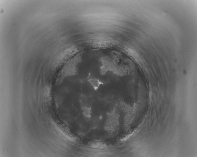 X0000088590258200706011145