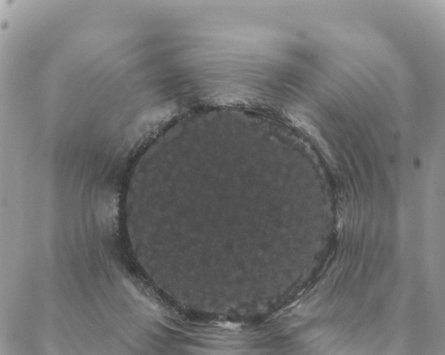 X0000088590260200706011145