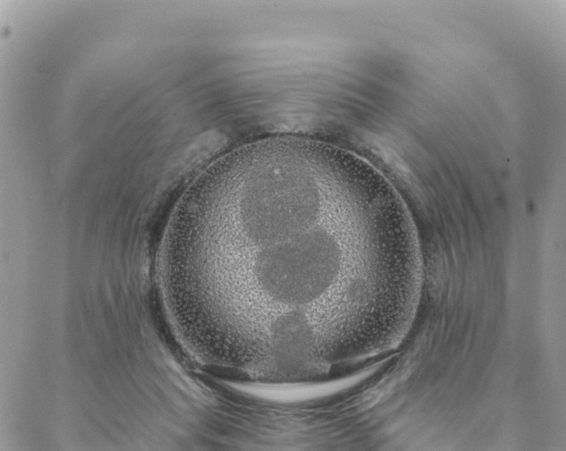 X0000088590261200706011145