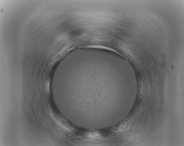 X0000088590262200706011145