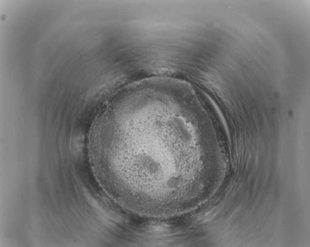 X0000088590263200706011145