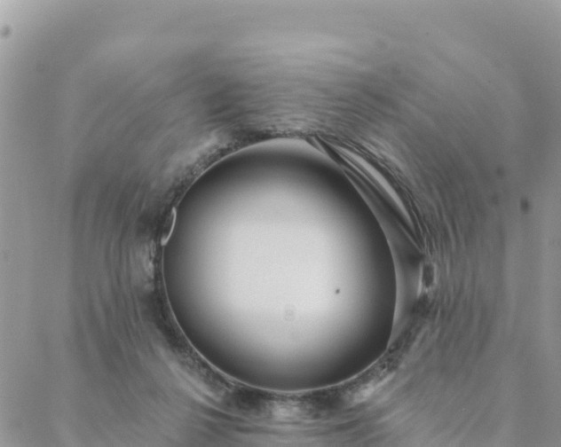 X0000088590264200706011145