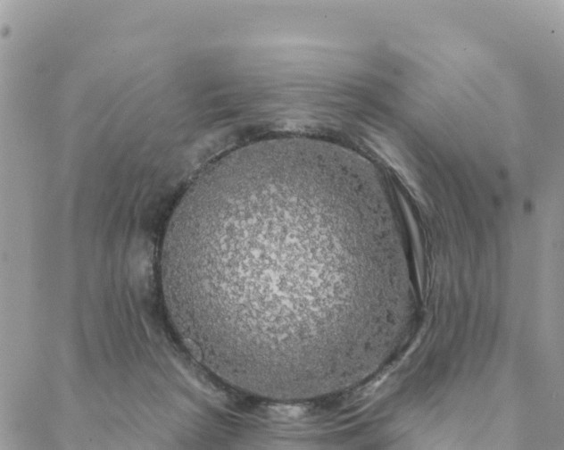 X0000088590265200706011145