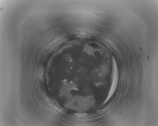 X0000088590266200706011145