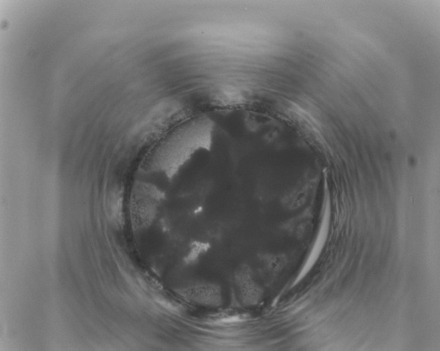 X0000088590267200706011145