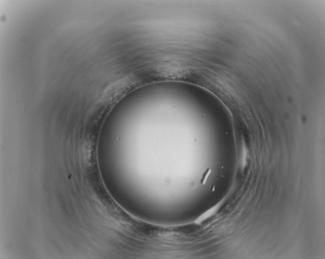 X0000088590268200706011145