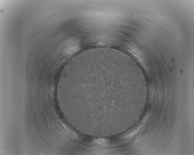 X0000088590269200706011145