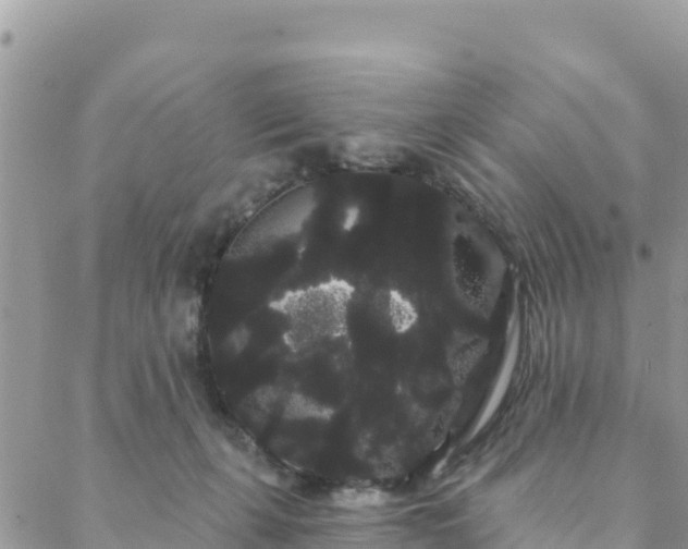 X0000088590271200706011145