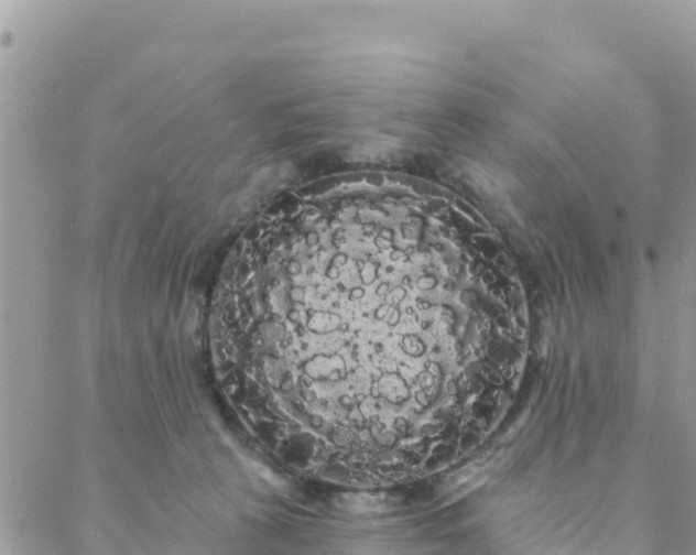 X0000088590273200706011145