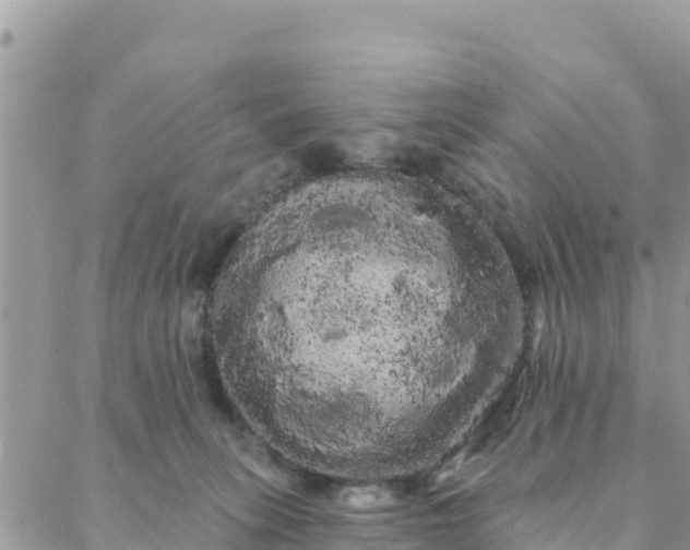 X0000088590275200706011145